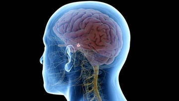 Hipofiz Makroadenomu Belirtileri ve Tedavisi Hipofiz Makroadenomu Belirtileri ve Tedavisi